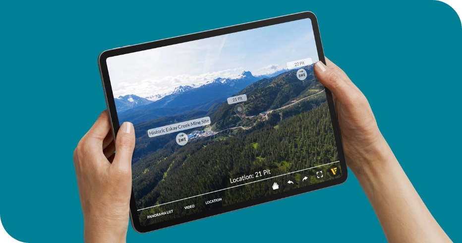 Offline Functionality